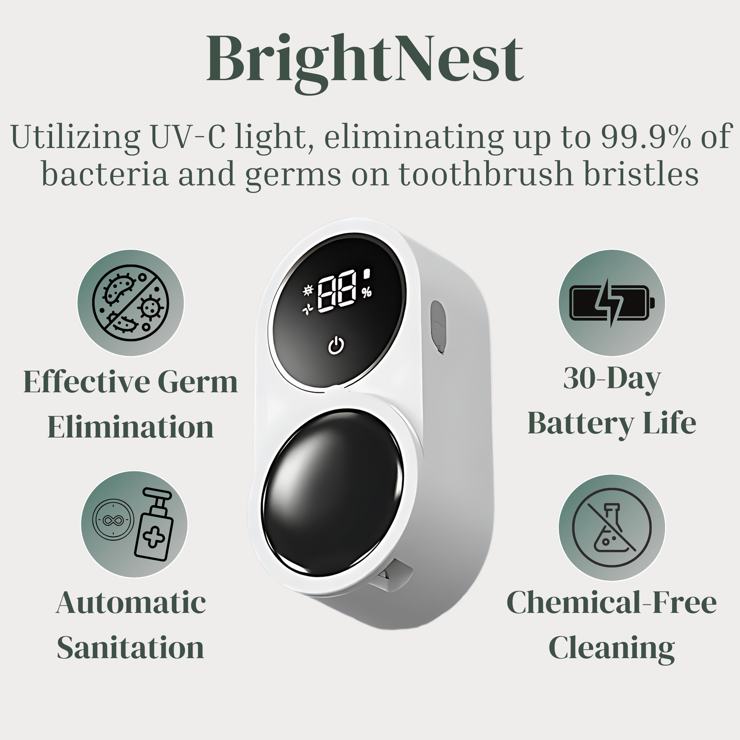 BrightNest UV Toothbrush Sanitzer